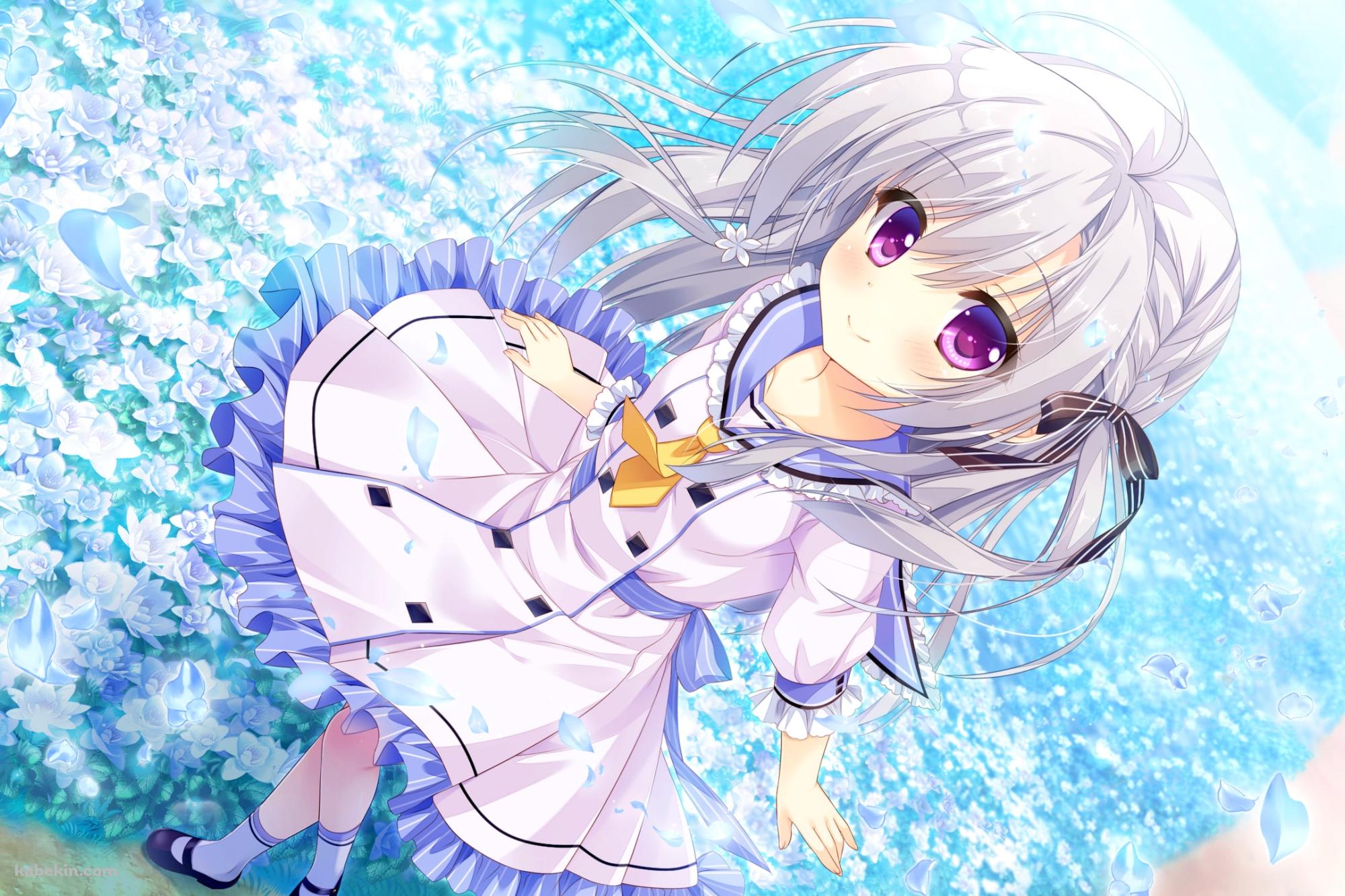 青い花畑と可愛いレン / 枯れない世界と終わる花の壁紙(2000px x 1333px) 高画質 PC・デスクトップ用