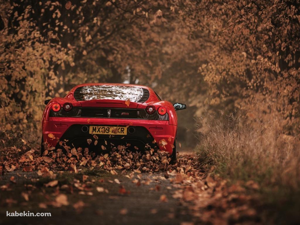 落ち葉が舞う中、走る赤いスポーツカーの壁紙(1024px x 768px) 高画質 PC・デスクトップ用