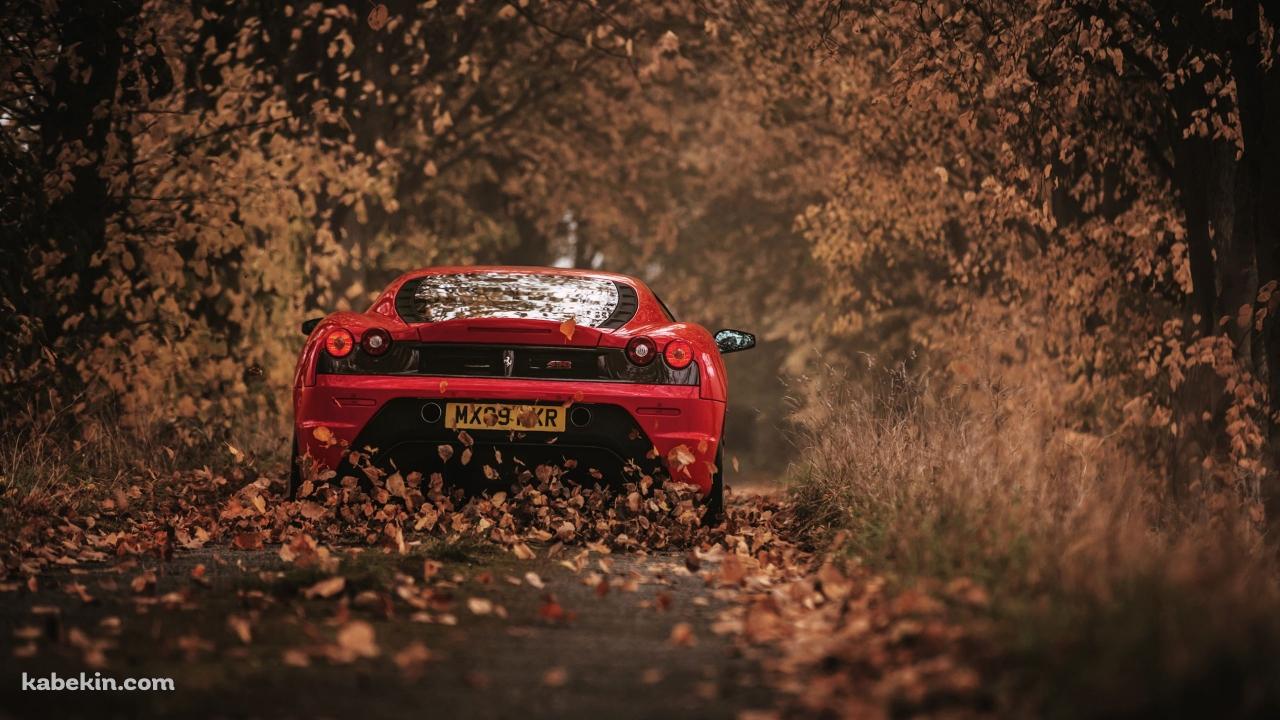 落ち葉が舞う中、走る赤いスポーツカーの壁紙(1280px x 720px) 高画質 PC・デスクトップ用