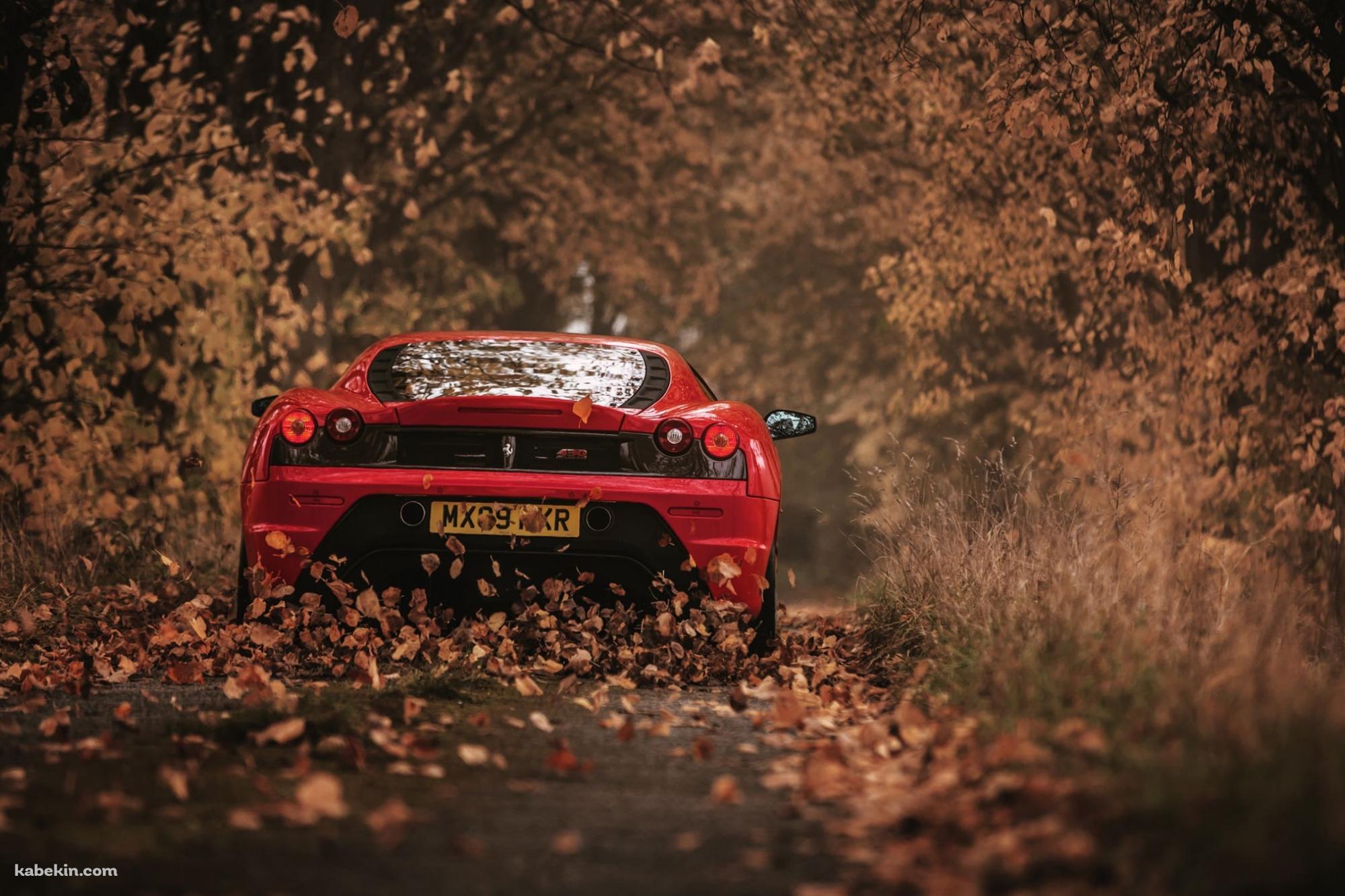 落ち葉が舞う中、走る赤いスポーツカーの壁紙(2000px x 1333px) 高画質 PC・デスクトップ用
