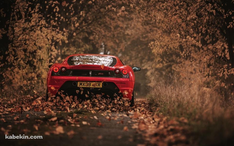 落ち葉が舞う中、走る赤いスポーツカーの壁紙(960px x 600px) 高画質 PC・デスクトップ用