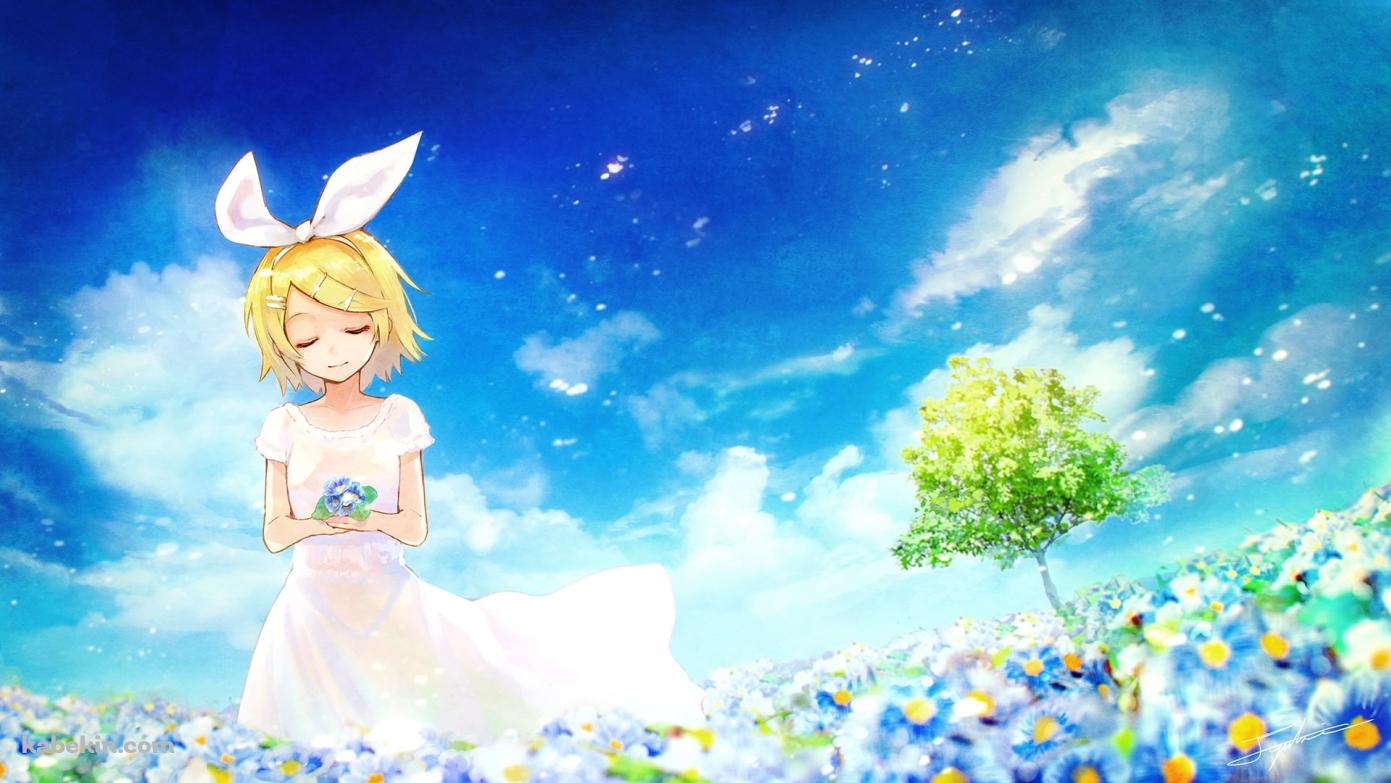 青空の下で青い花を摘む鏡音リン / ボカロ / ボーカロイドの壁紙(1391px x 783px) 高画質 PC・デスクトップ用