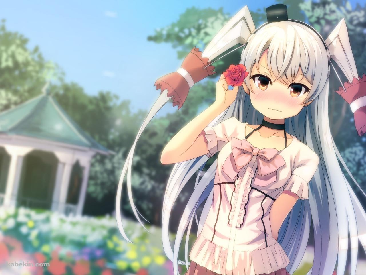 赤い薔薇を持つツインテールの天津風 / 艦これ / 艦隊これくしょんの壁紙(1280px x 960px) 高画質 PC・デスクトップ用