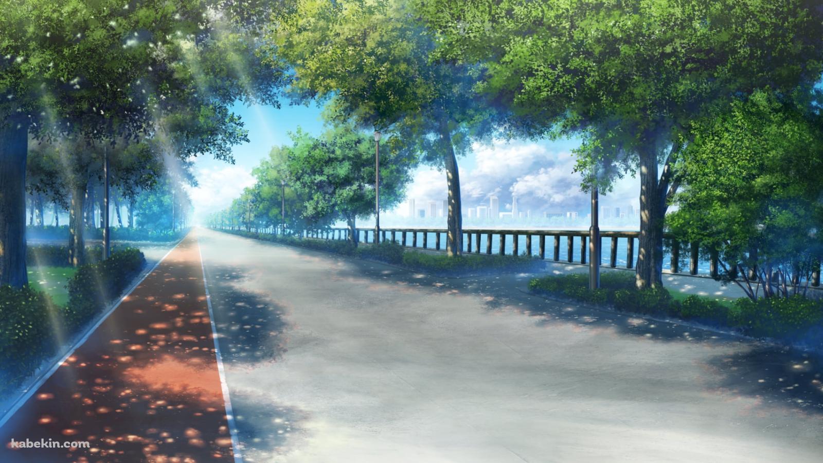 海沿いの舗装された道 / 木漏れ日の壁紙(1600px x 900px) 高画質 PC・デスクトップ用