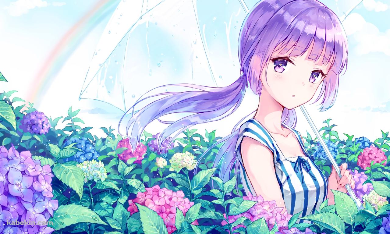 紫陽花の花畑でビニール傘をさす可愛い氷上スミレ / アイカツ!の壁紙(1280px x 768px) 高画質 PC・デスクトップ用