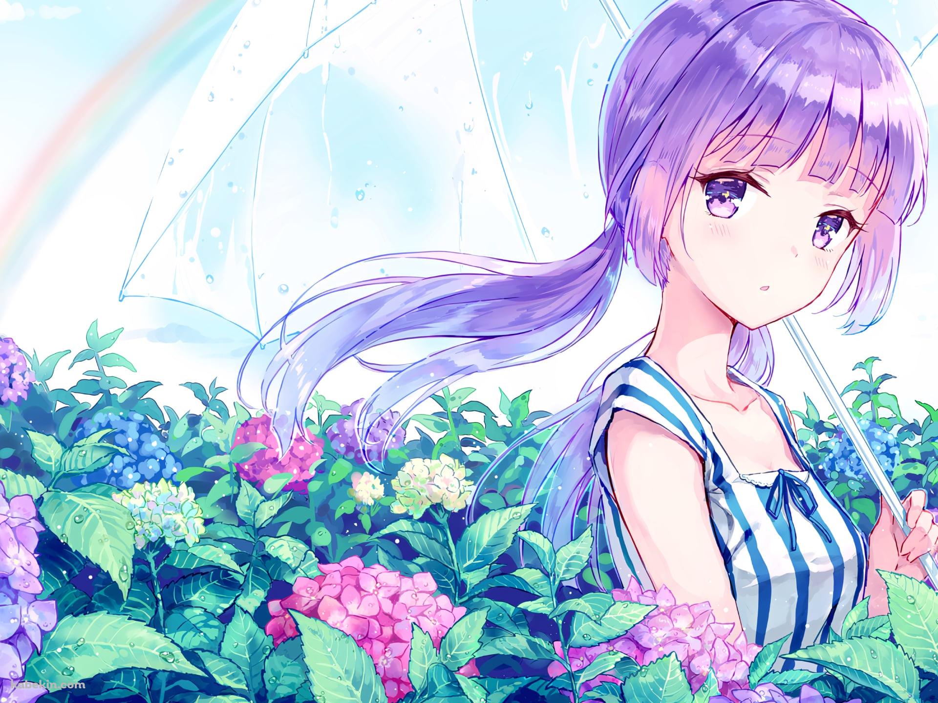 紫陽花の花畑でビニール傘をさす可愛い氷上スミレ / アイカツ!の壁紙(1920px x 1440px) 高画質 PC・デスクトップ用