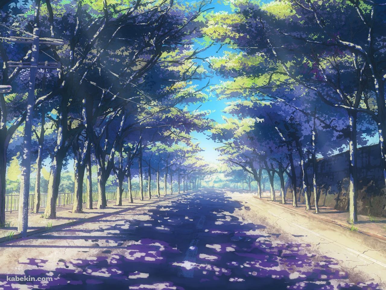 春の並木道 / イラスト / 街灯の壁紙(1280px x 960px) 高画質 PC・デスクトップ用