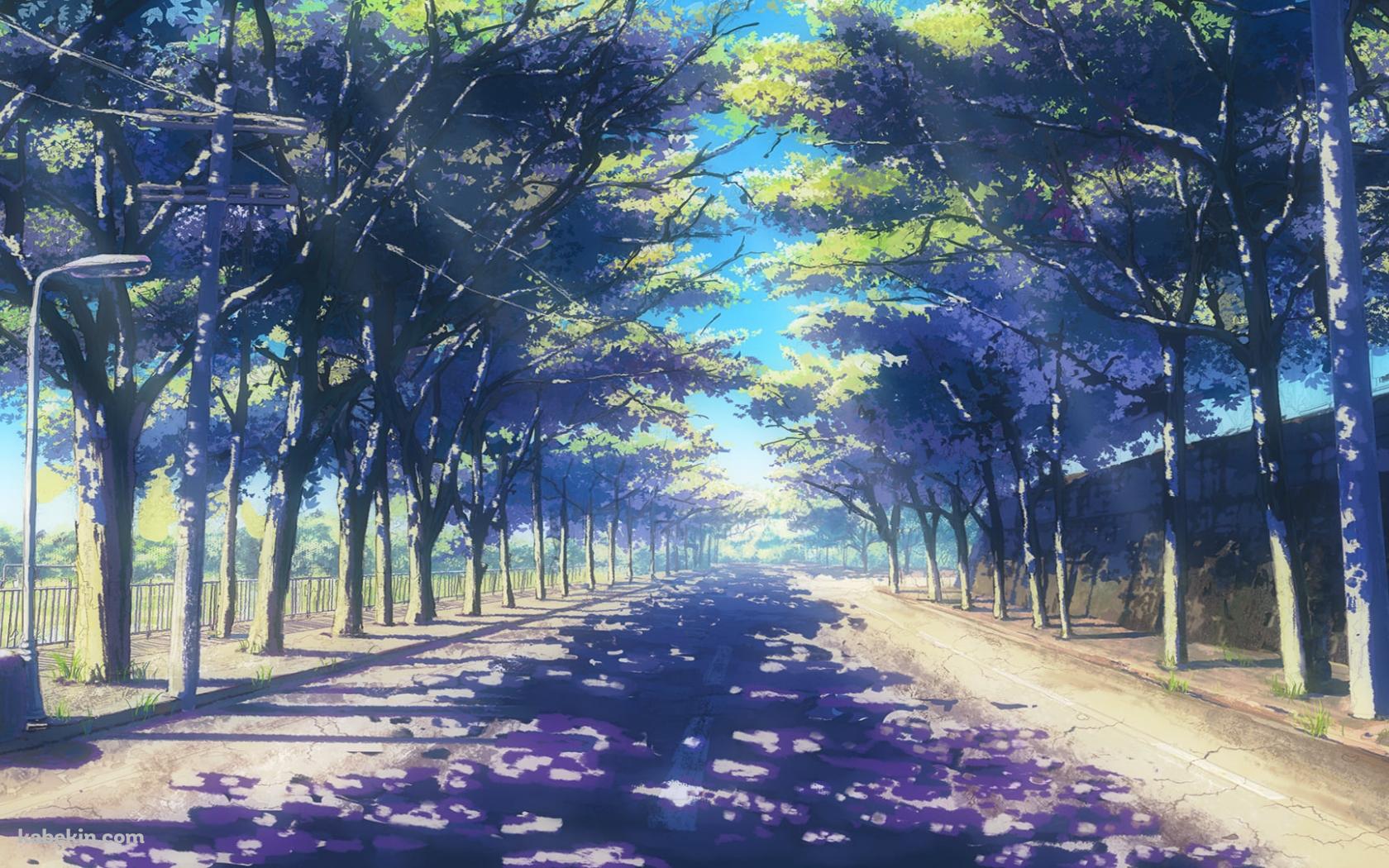 春の並木道 / イラスト / 街灯の壁紙(1680px x 1050px) 高画質 PC・デスクトップ用