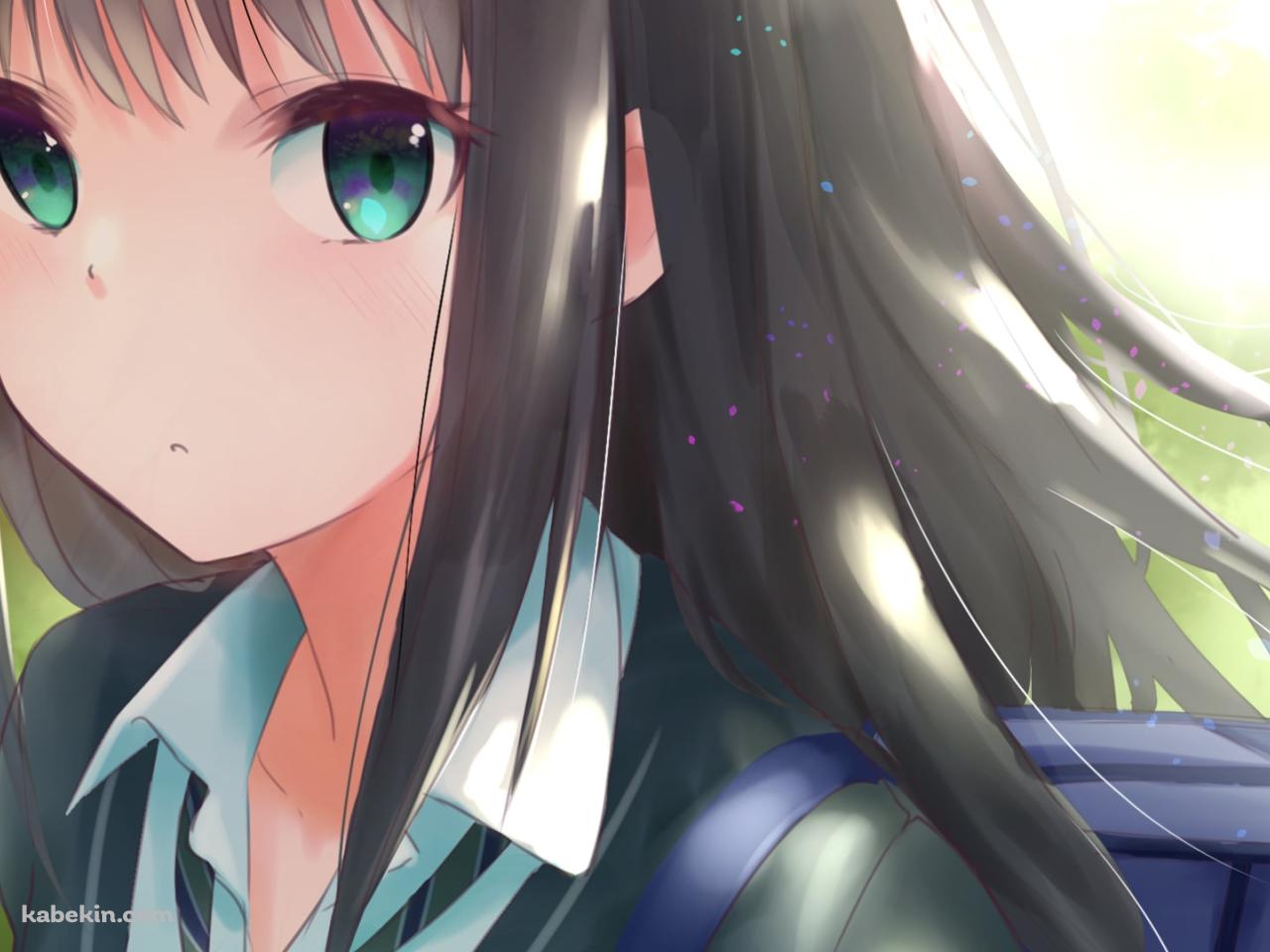 新緑と渋谷凛 / 緑の瞳 / アイドルマスターシンデレラガールズの壁紙(1280px x 960px) 高画質 PC・デスクトップ用