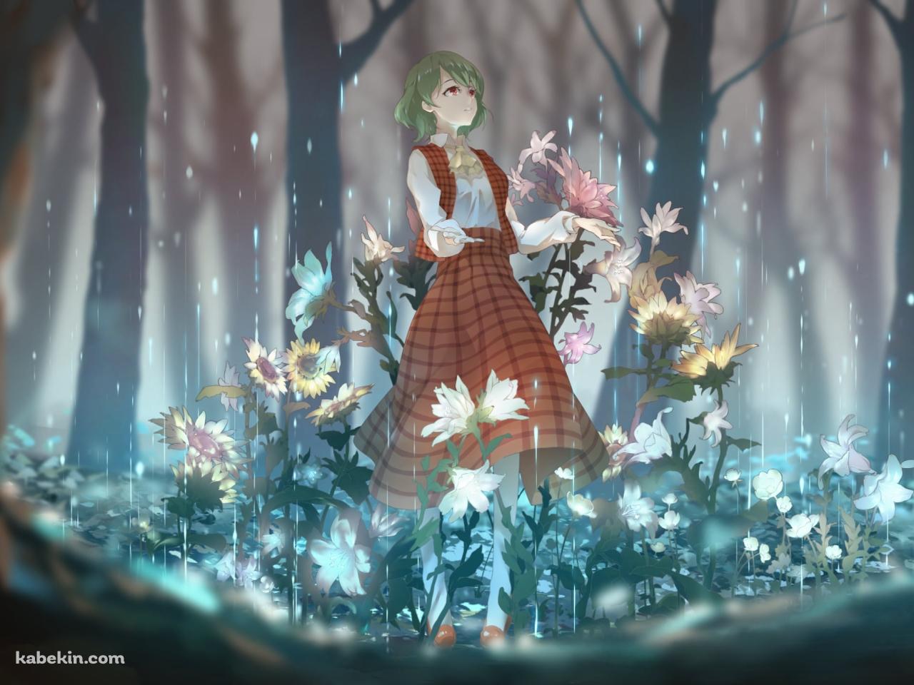 森の中に咲く向日葵と雨に手をかざす風見幽香 / 東方の壁紙(1280px x 960px) 高画質 PC・デスクトップ用