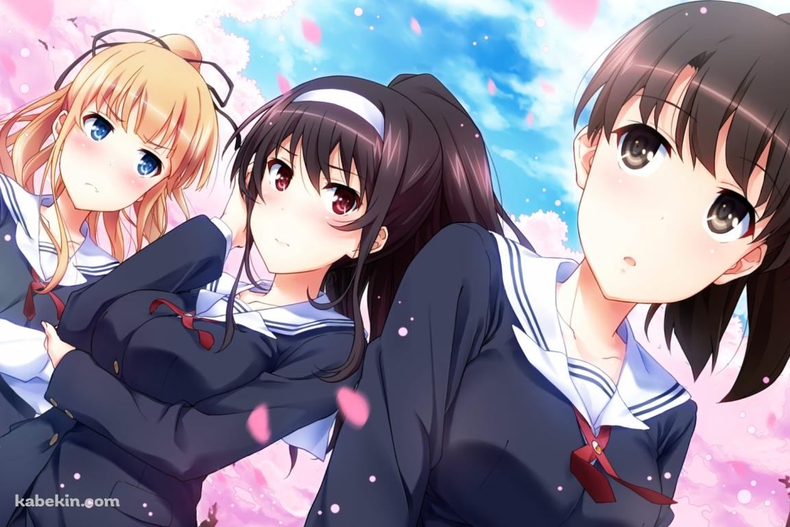 満開の桜とセーラー服を着て立ち並ぶ霞ヶ丘詩羽・加藤恵・澤村・スペンサー・英梨々 / 冴えない彼女の育てかたの壁紙(1152px x 768px) 高画質 PC・デスクトップ用