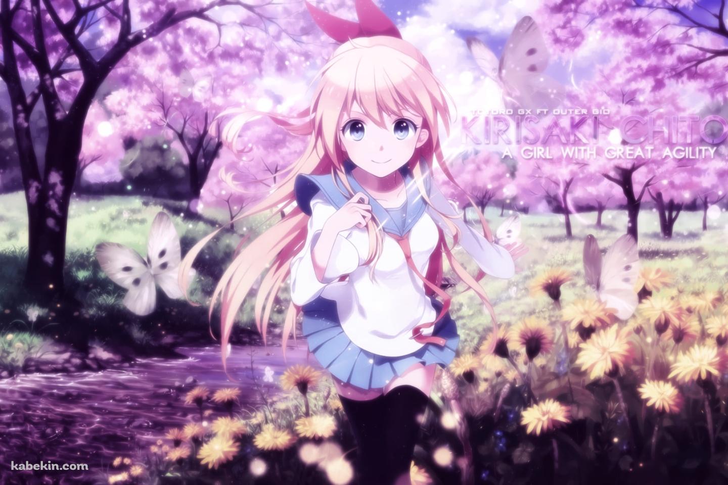 走る桐崎千棘 / 黄色い花畑 / 満開の桜 / ニセコイの壁紙(1440px x 960px) 高画質 PC・デスクトップ用