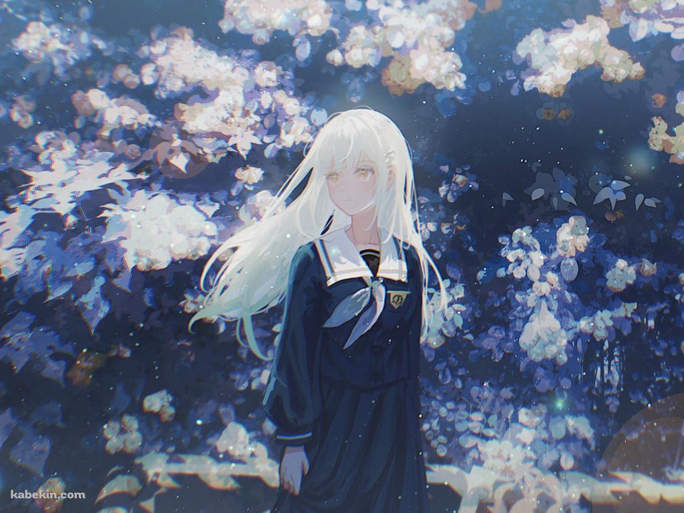 白い花の前に佇む若葉睦(わかばむつみ) / バンドリ!の壁紙(1400px x 1050px) 高画質 PC・デスクトップ用