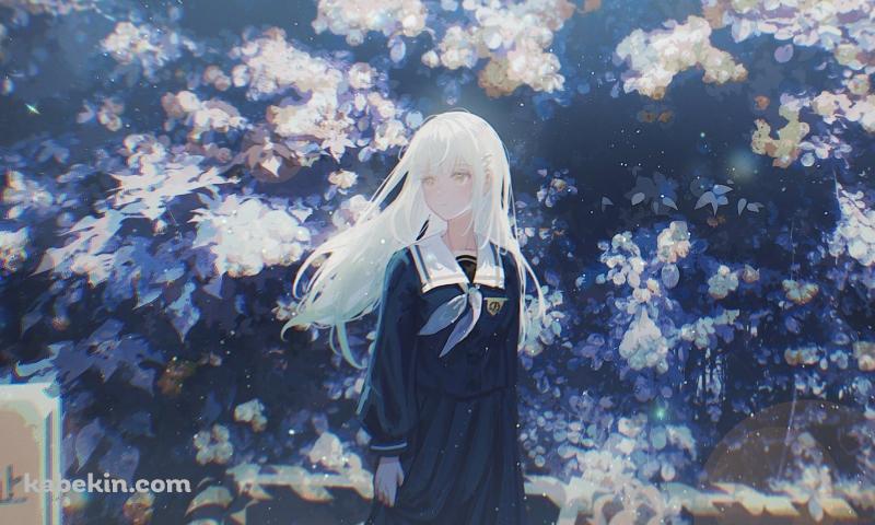 白い花の前に佇む若葉睦(わかばむつみ) / バンドリ!の壁紙(800px x 480px) 高画質 PC・デスクトップ用