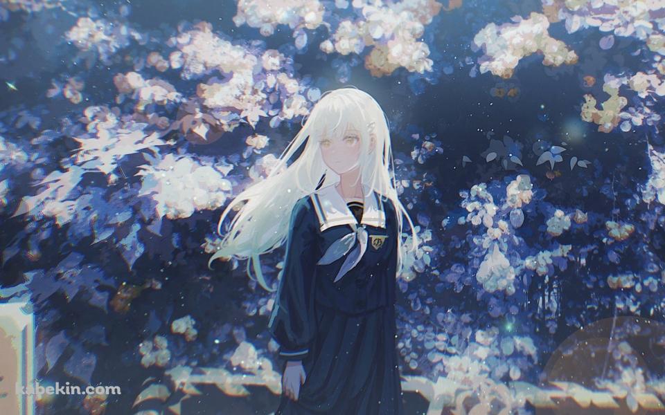 白い花の前に佇む若葉睦(わかばむつみ) / バンドリ!の壁紙(960px x 600px) 高画質 PC・デスクトップ用