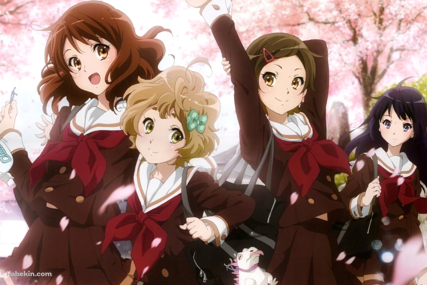 桜の花と高坂麗奈・黄前久美子・加藤葉月・川島緑輝 / 響け!ユーフォニアムの壁紙(1440px x 960px) 高画質 PC・デスクトップ用