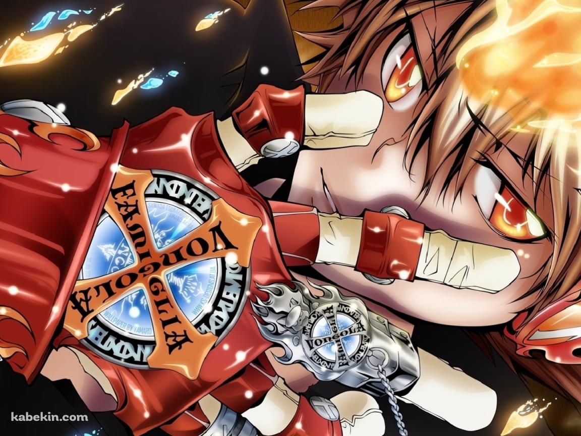 右手をかざすかっこいい沢田綱吉 / 家庭教師ヒットマンREBORN!の壁紙(1152px x 864px) 高画質 PC・デスクトップ用
