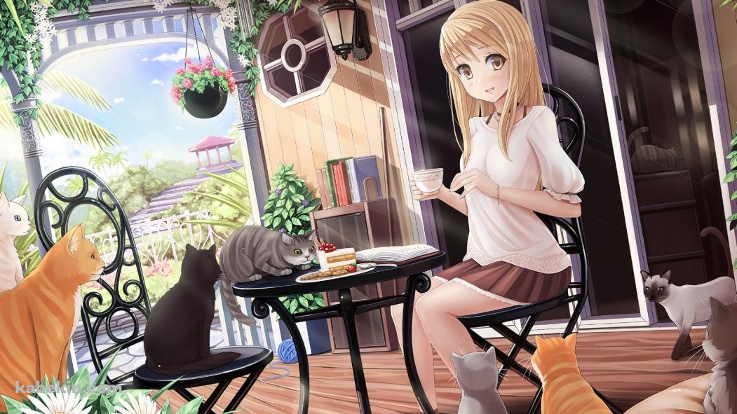 猫が沢山いる部屋でショートケーキを食べる式部 帆夏(しきぶ ほのか) / ヒカルが地球にいたころ……の壁紙(1051px x 591px) 高画質 PC・デスクトップ用