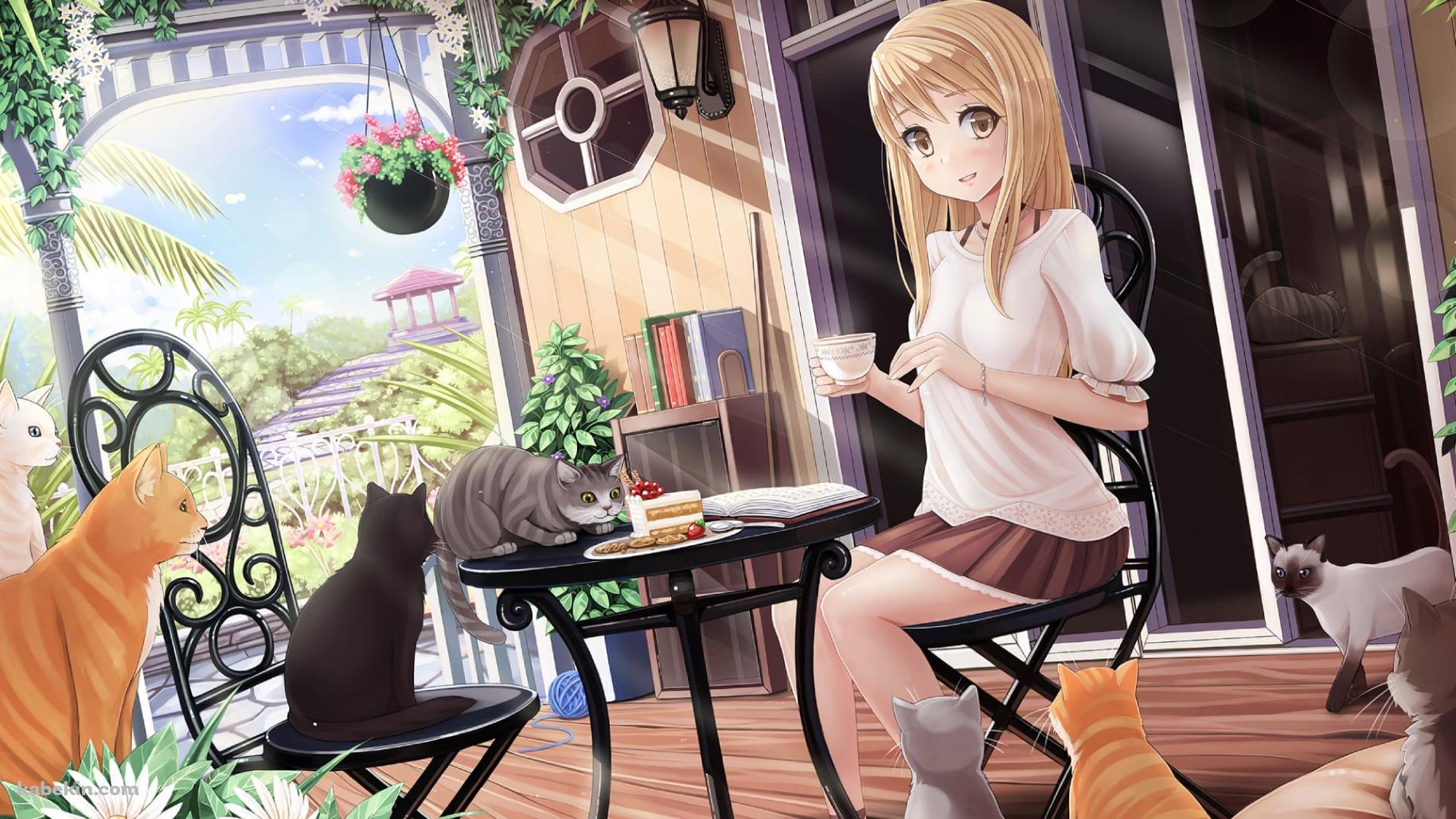 猫が沢山いる部屋でショートケーキを食べる式部 帆夏(しきぶ ほのか) / ヒカルが地球にいたころ……の壁紙(1829px x 1029px) 高画質 PC・デスクトップ用