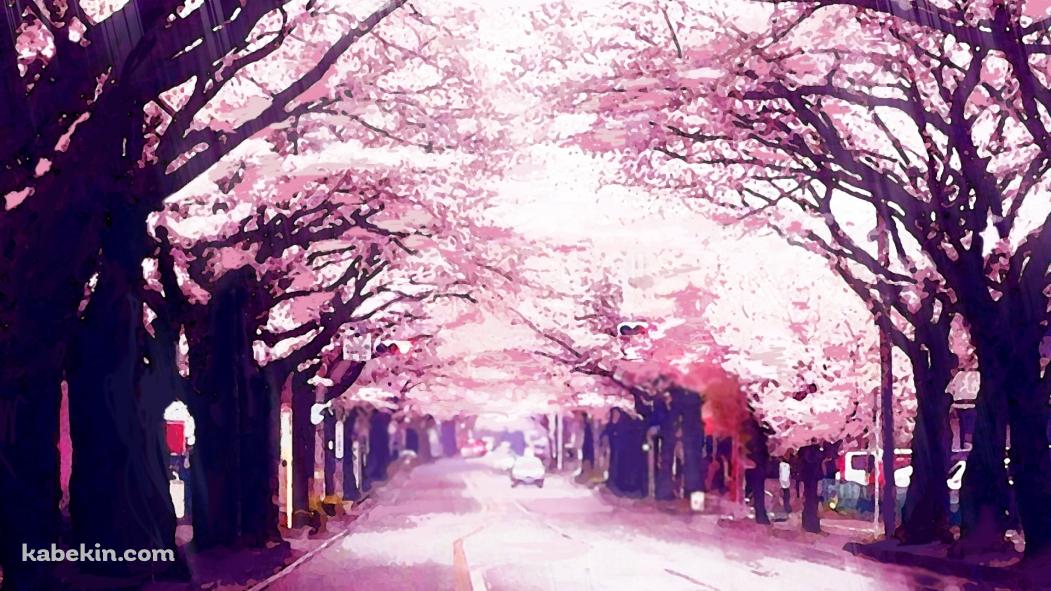 ボヤけたピンクの桜並木の壁紙(1051px x 591px) 高画質 PC・デスクトップ用