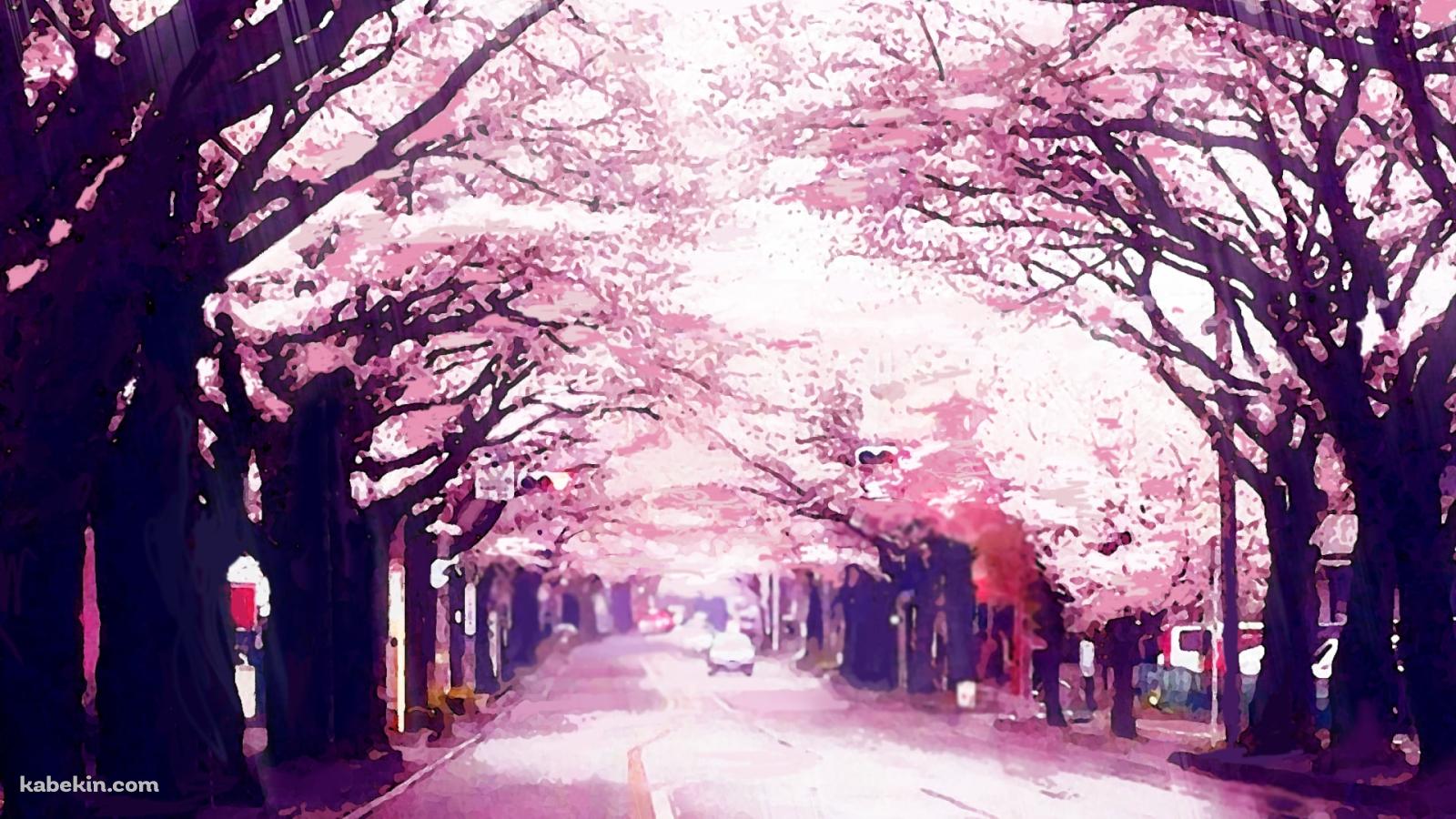 ボヤけたピンクの桜並木の壁紙(1600px x 900px) 高画質 PC・デスクトップ用