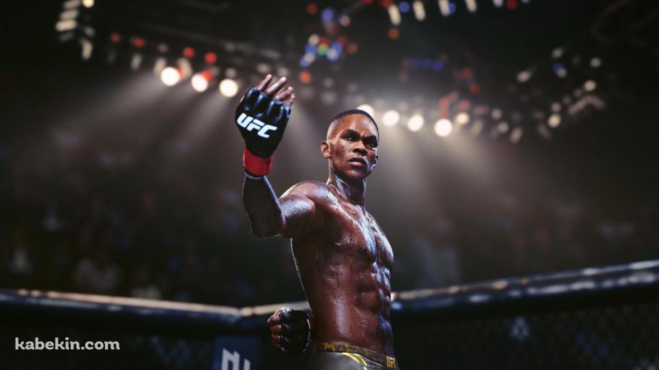 挑発するイスラエル・アデサンヤ / ナイジェリア / 総合格闘家 / UFC / Israel Adesanyaの壁紙(960px x 540px) 高画質 PC・デスクトップ用