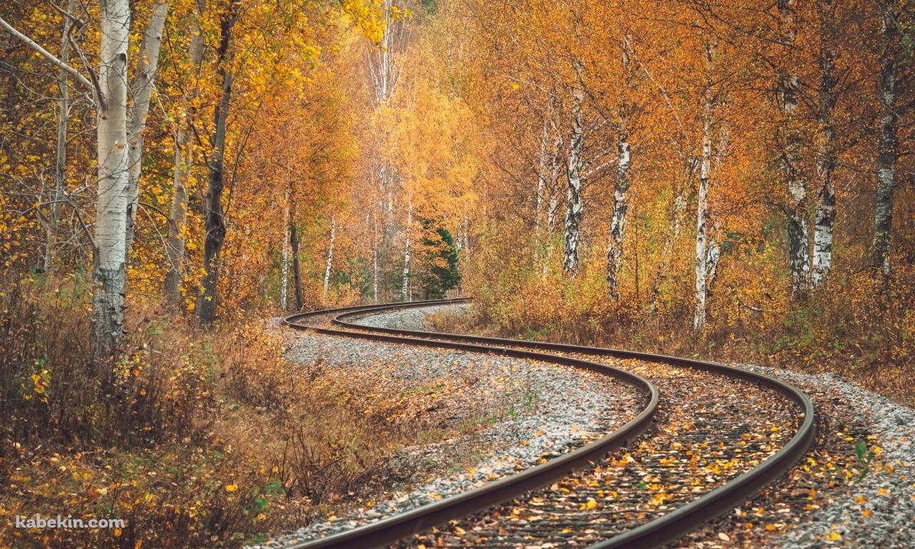 S字に曲がる線路 / 紅葉 / 秋 / 綺麗の壁紙(1280px x 768px) 高画質 PC・デスクトップ用