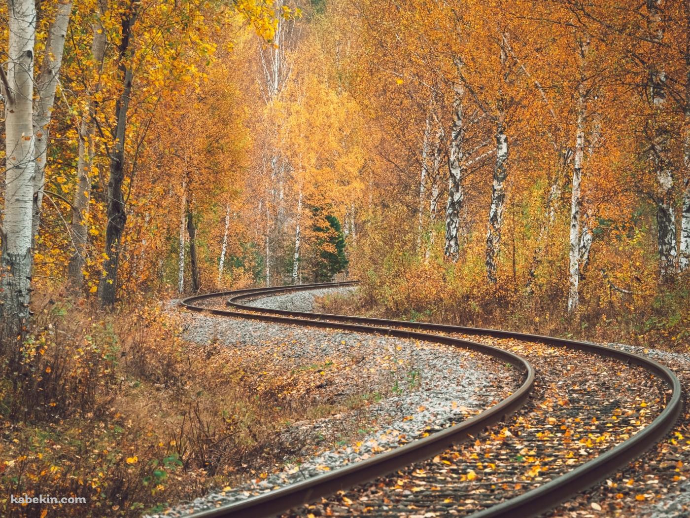 S字に曲がる線路 / 紅葉 / 秋 / 綺麗の壁紙(1400px x 1050px) 高画質 PC・デスクトップ用