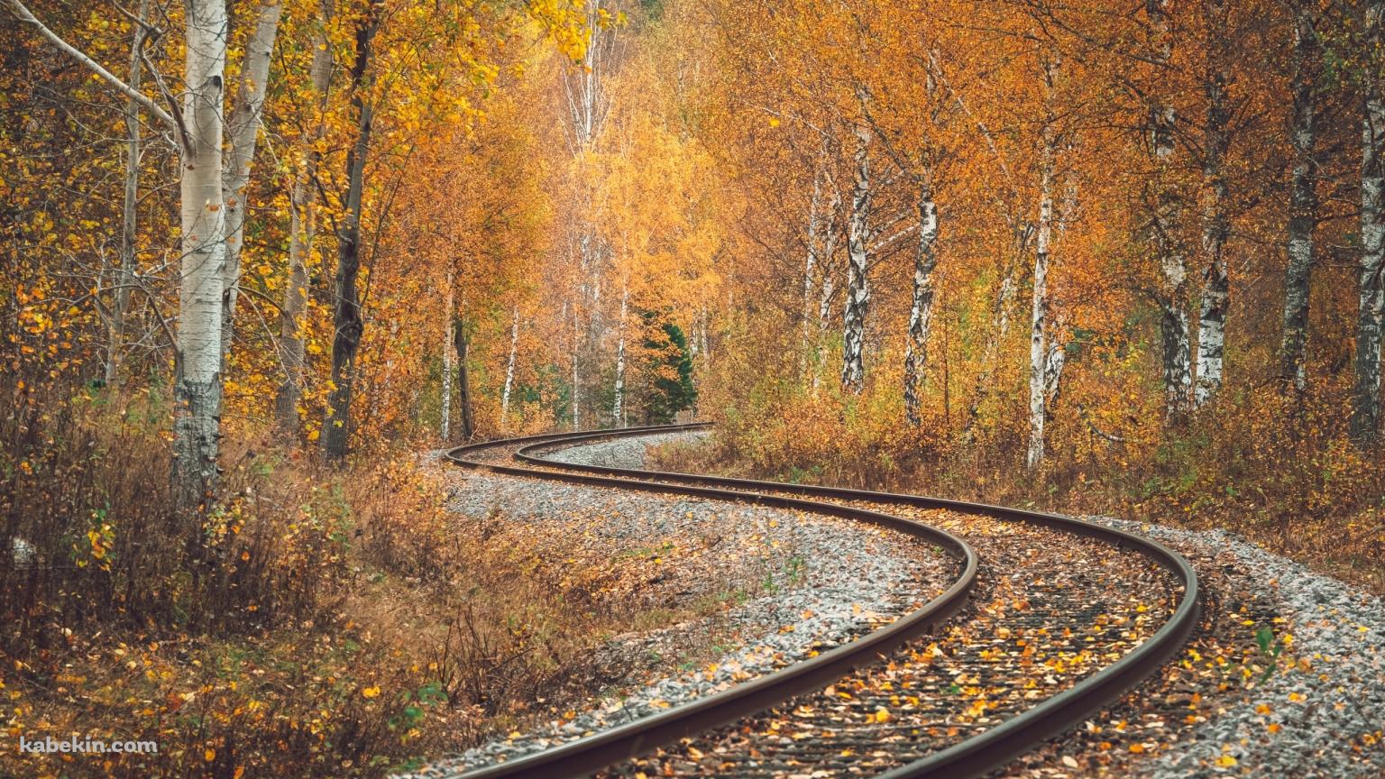 S字に曲がる線路 / 紅葉 / 秋 / 綺麗の壁紙(1536px x 864px) 高画質 PC・デスクトップ用