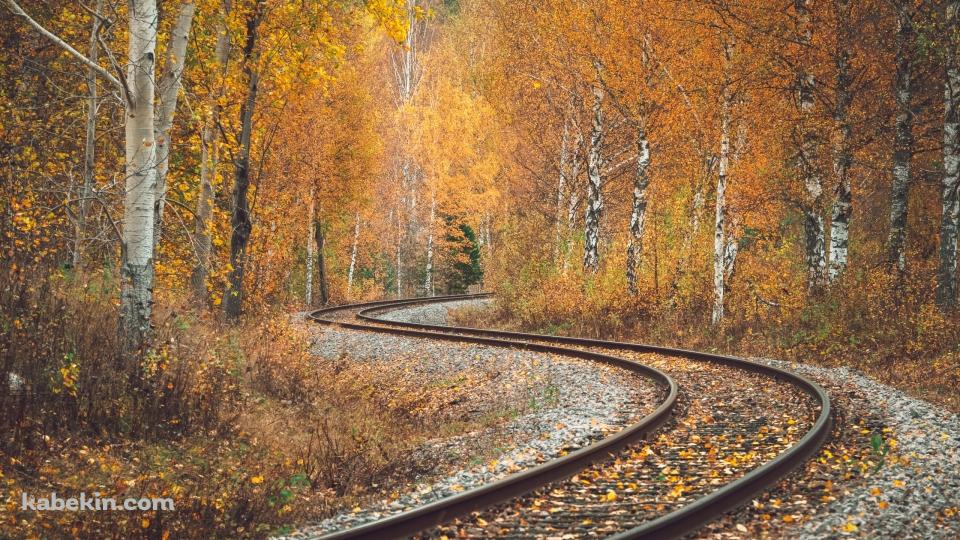 S字に曲がる線路 / 紅葉 / 秋 / 綺麗の壁紙(960px x 540px) 高画質 PC・デスクトップ用