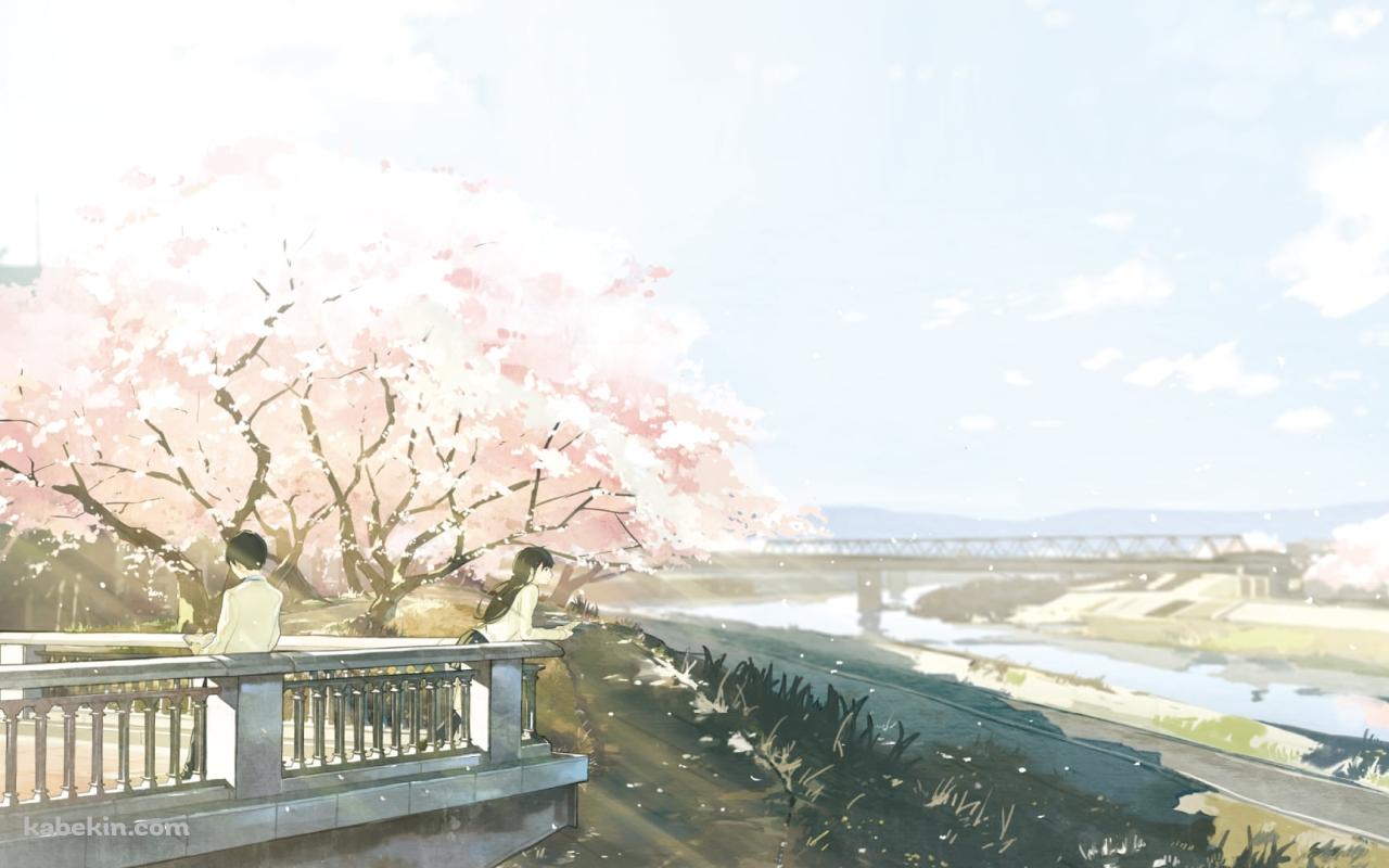 山内桜良 / 志賀春樹 / 桜の花 / 川 / 春 / 君の膵臓をたべたいの壁紙(1280px x 800px) 高画質 PC・デスクトップ用