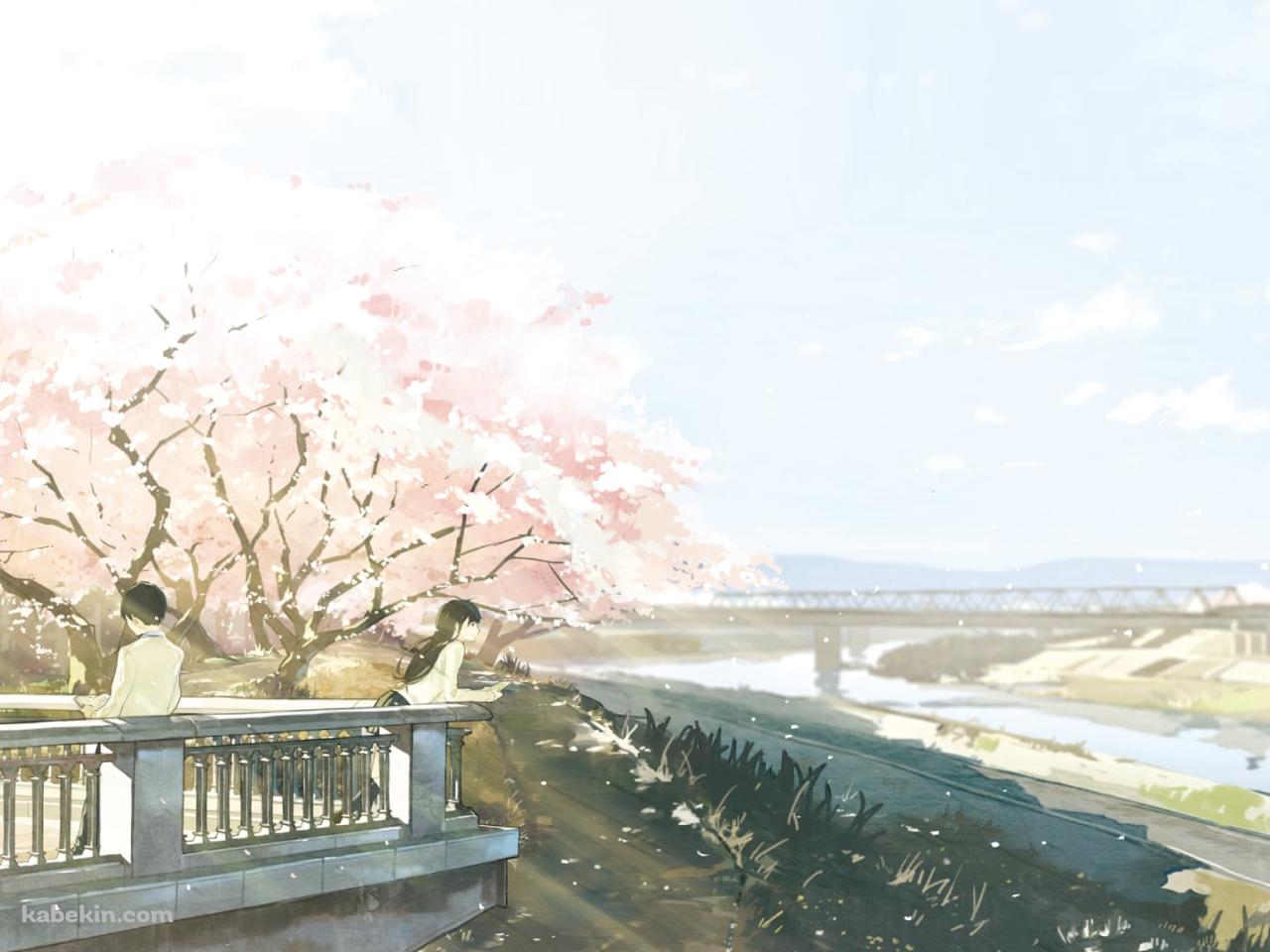 山内桜良 / 志賀春樹 / 桜の花 / 川 / 春 / 君の膵臓をたべたいの壁紙(1280px x 960px) 高画質 PC・デスクトップ用