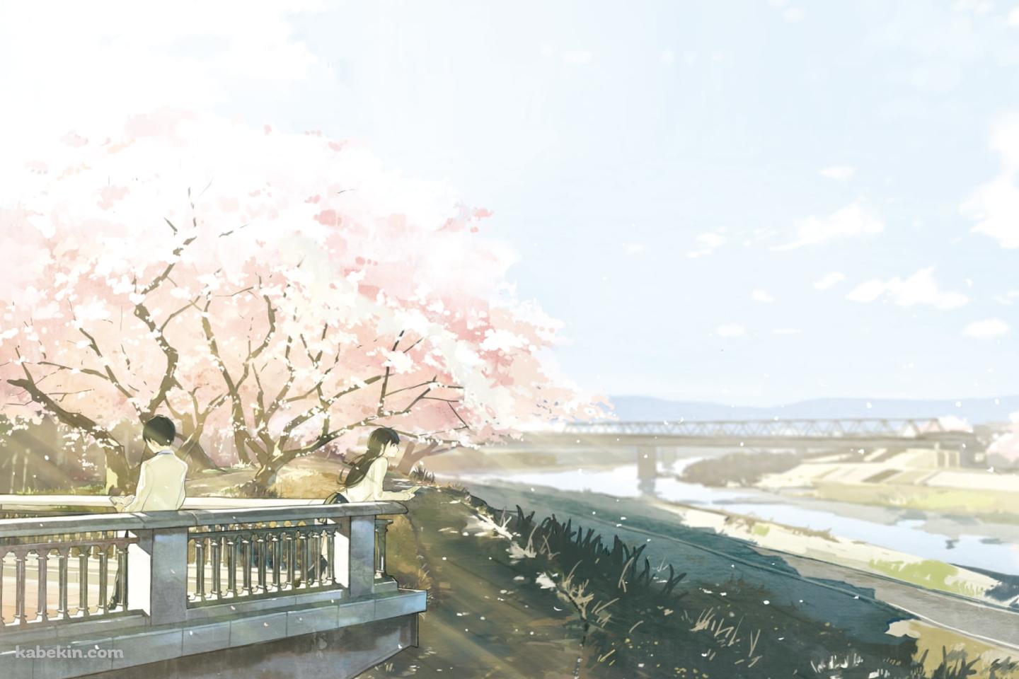 山内桜良 / 志賀春樹 / 桜の花 / 川 / 春 / 君の膵臓をたべたいの壁紙(1440px x 960px) 高画質 PC・デスクトップ用