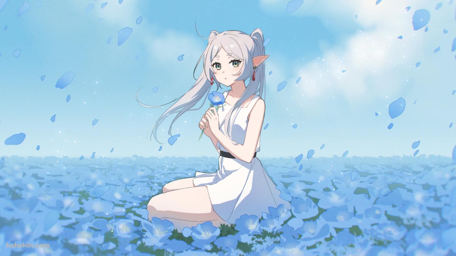 青い花を摘みこちらを見つめる可愛いフリーレン / 葬送のフリーレンの壁紙(1600px x 900px) 高画質 PC・デスクトップ用