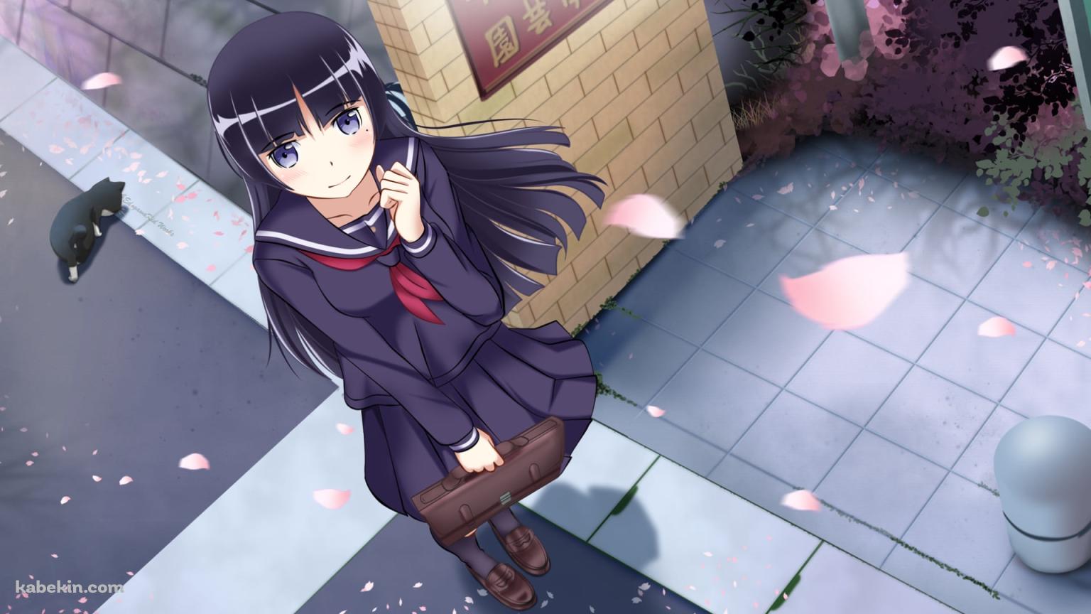 学校の門の前でガッツポーズをする五更瑠璃(ごこうるり)と黒猫と桜の花びら / 俺の妹がこんなに可愛いわけがないの壁紙(1536px x 864px) 高画質 PC・デスクトップ用