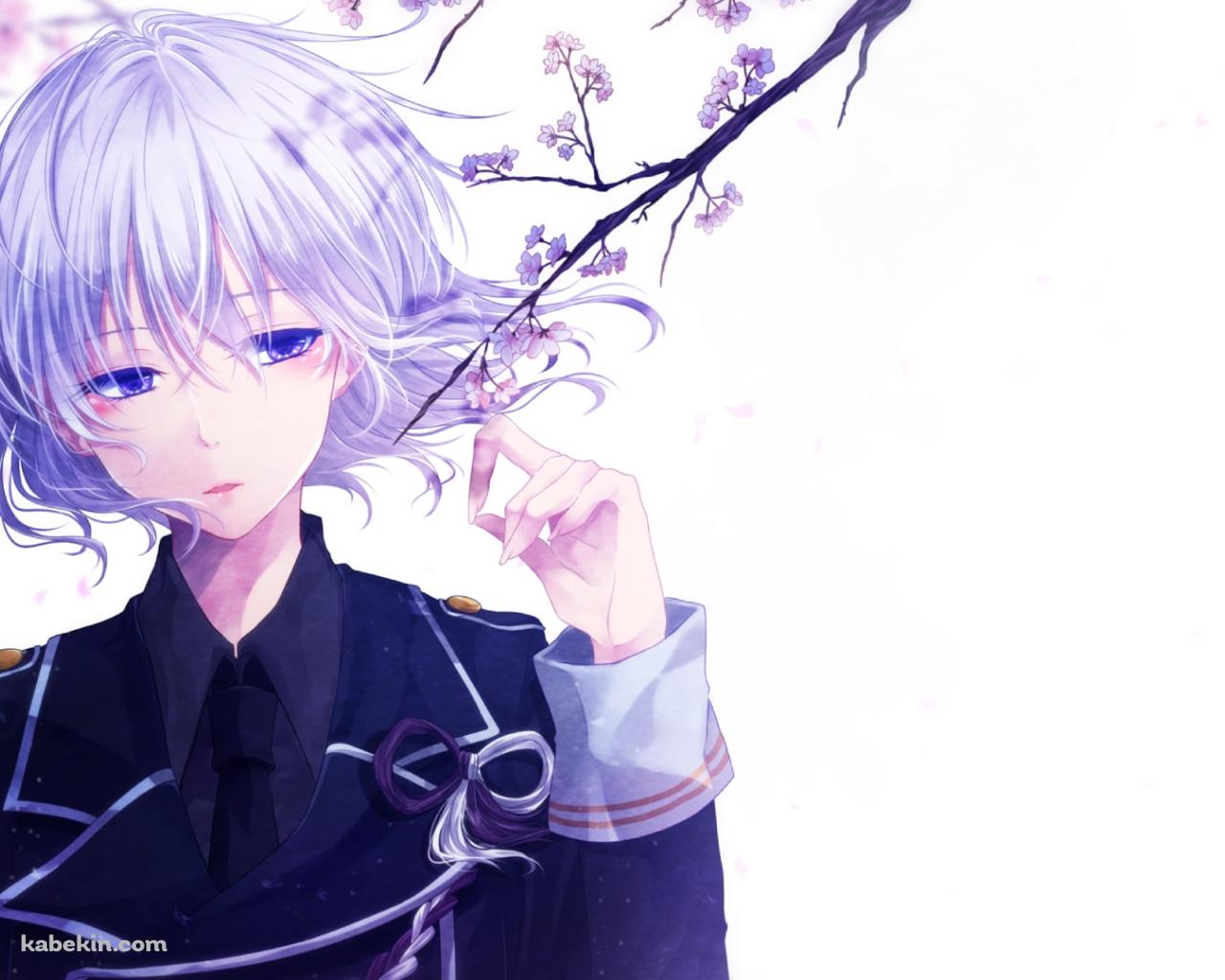桜の花を触る骨喰藤四郎(ほねばみとうしろう) / 刀剣乱舞の壁紙(1280px x 1024px) 高画質 PC・デスクトップ用