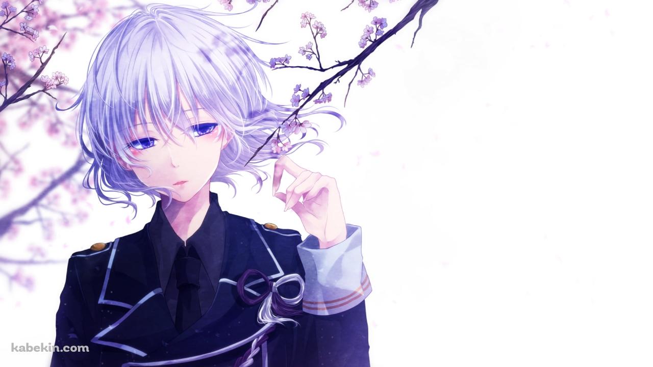 桜の花を触る骨喰藤四郎(ほねばみとうしろう) / 刀剣乱舞の壁紙(1280px x 720px) 高画質 PC・デスクトップ用
