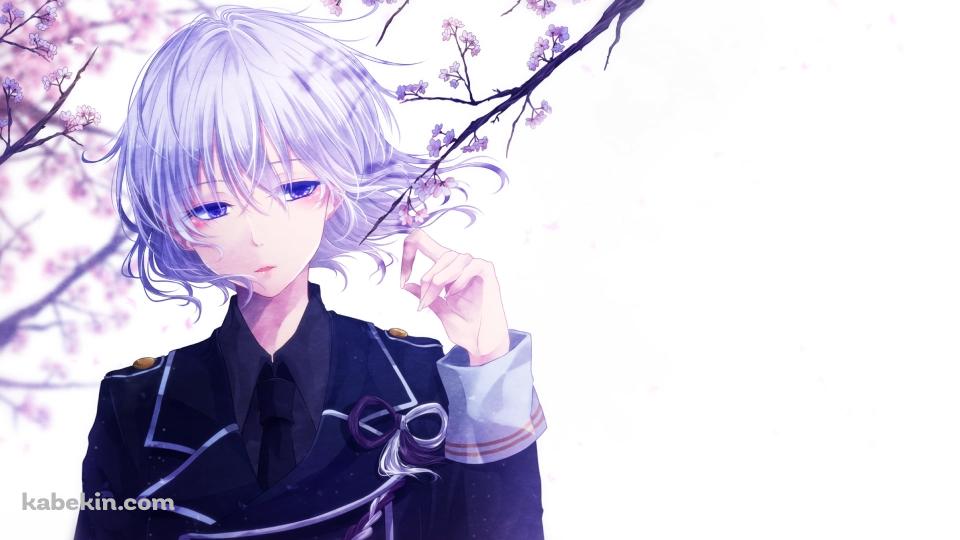 桜の花を触る骨喰藤四郎(ほねばみとうしろう) / 刀剣乱舞の壁紙(960px x 540px) 高画質 PC・デスクトップ用