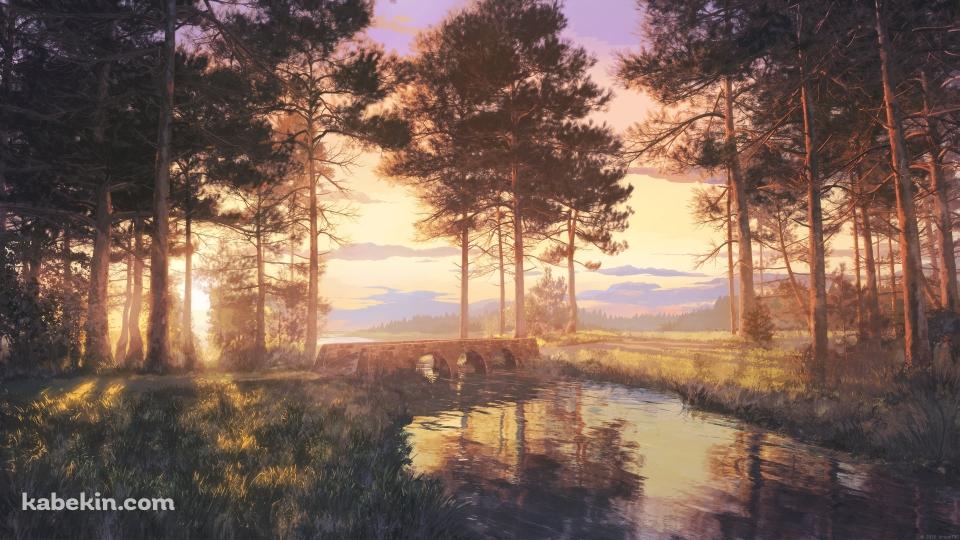 朝、林に囲まれた池 / 綺麗の壁紙(960px x 540px) 高画質 PC・デスクトップ用