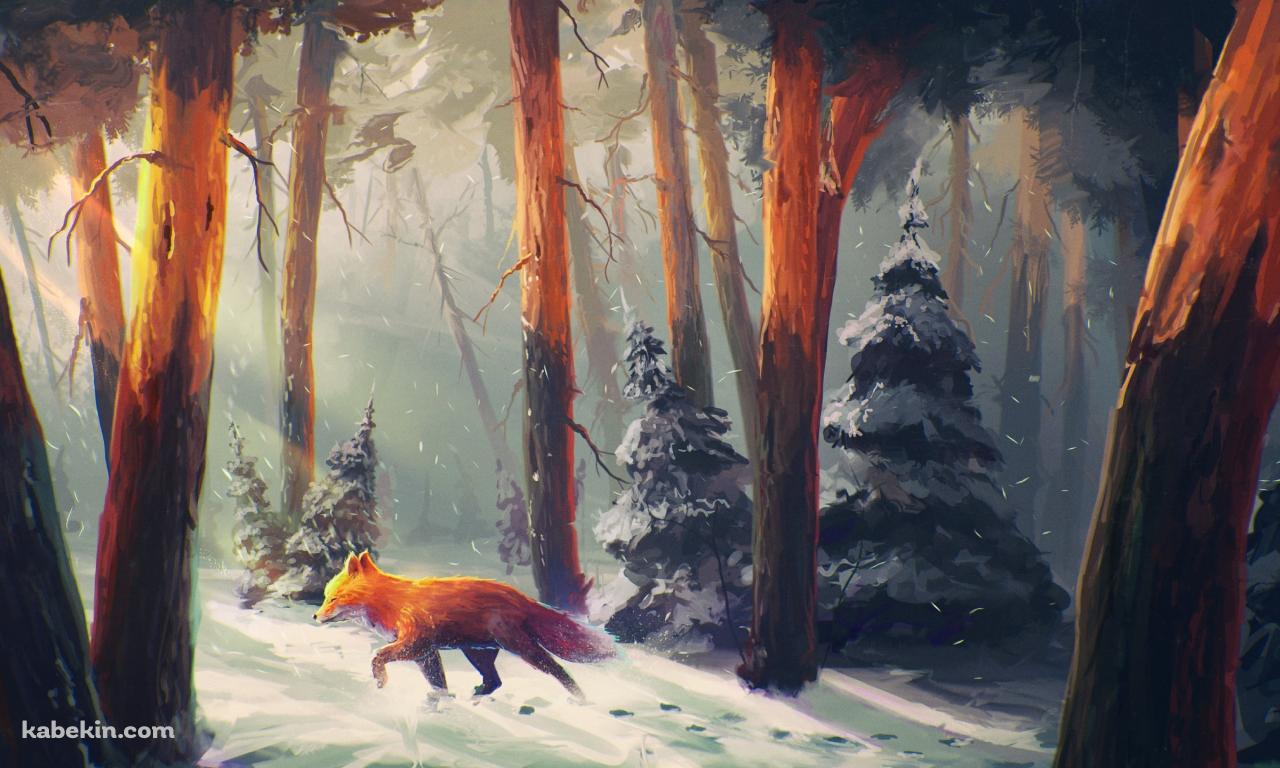 冬の森を歩く狐 / fox walking in the winter forestの壁紙(1280px x 768px) 高画質 PC・デスクトップ用