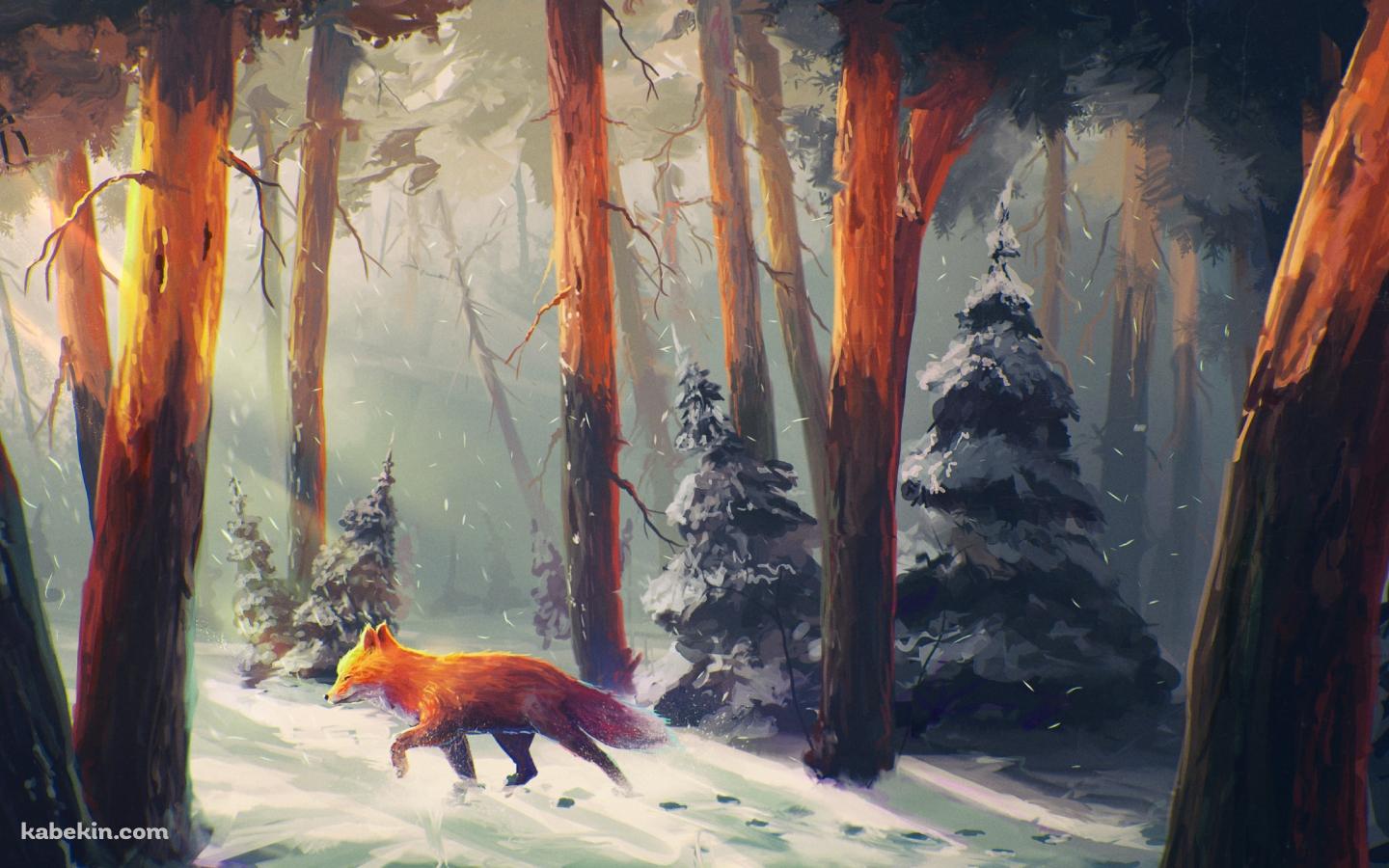冬の森を歩く狐 / fox walking in the winter forestの壁紙(1440px x 900px) 高画質 PC・デスクトップ用