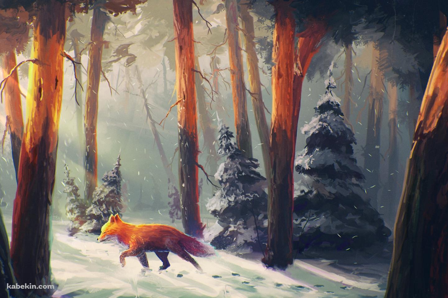 冬の森を歩く狐 / fox walking in the winter forestの壁紙(1440px x 960px) 高画質 PC・デスクトップ用