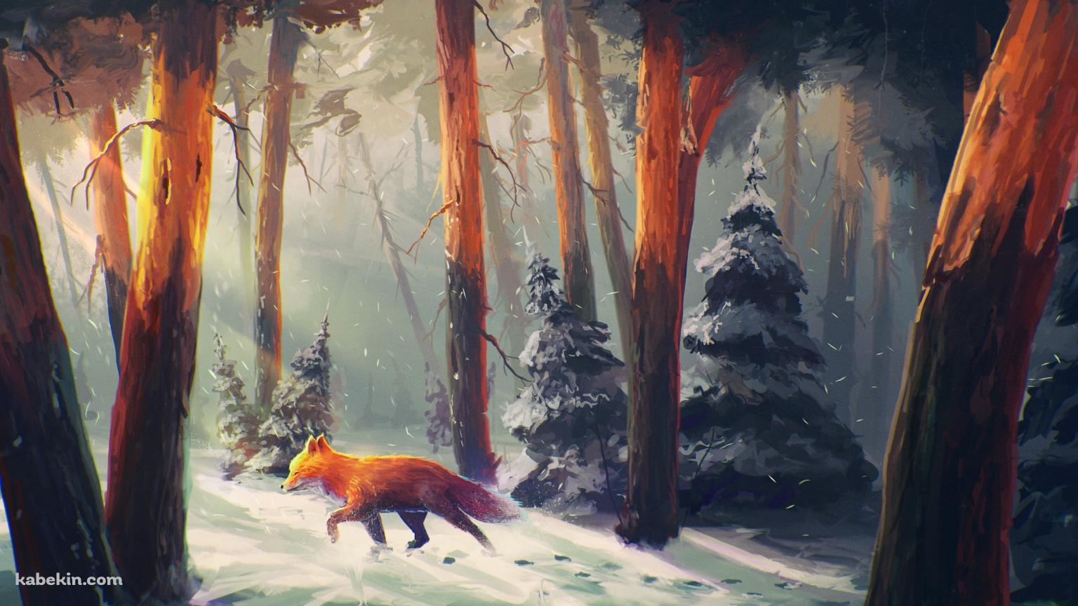冬の森を歩く狐 / fox walking in the winter forestの壁紙(1536px x 864px) 高画質 PC・デスクトップ用