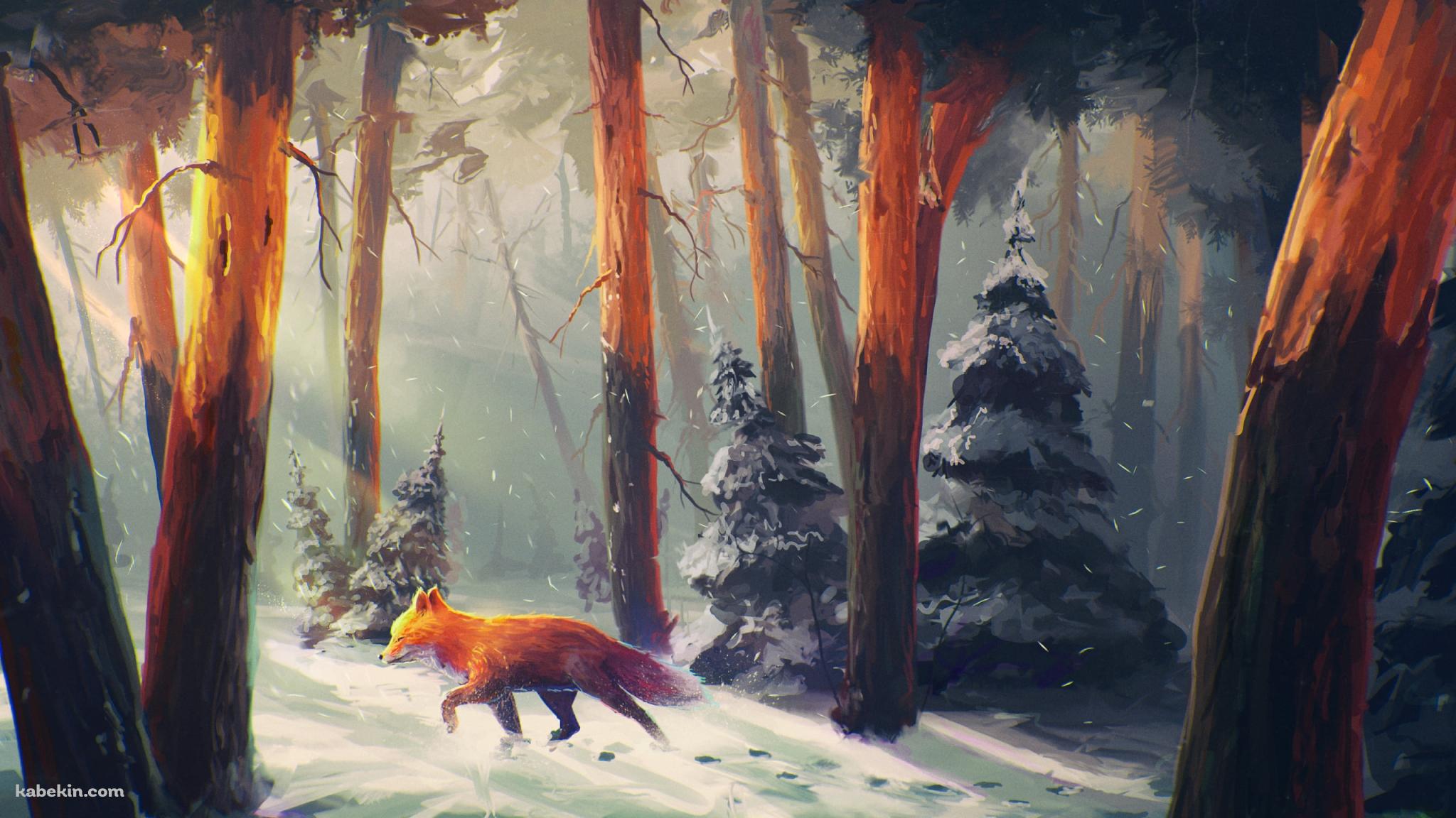 冬の森を歩く狐 / fox walking in the winter forestの壁紙(2048px x 1152px) 高画質 PC・デスクトップ用