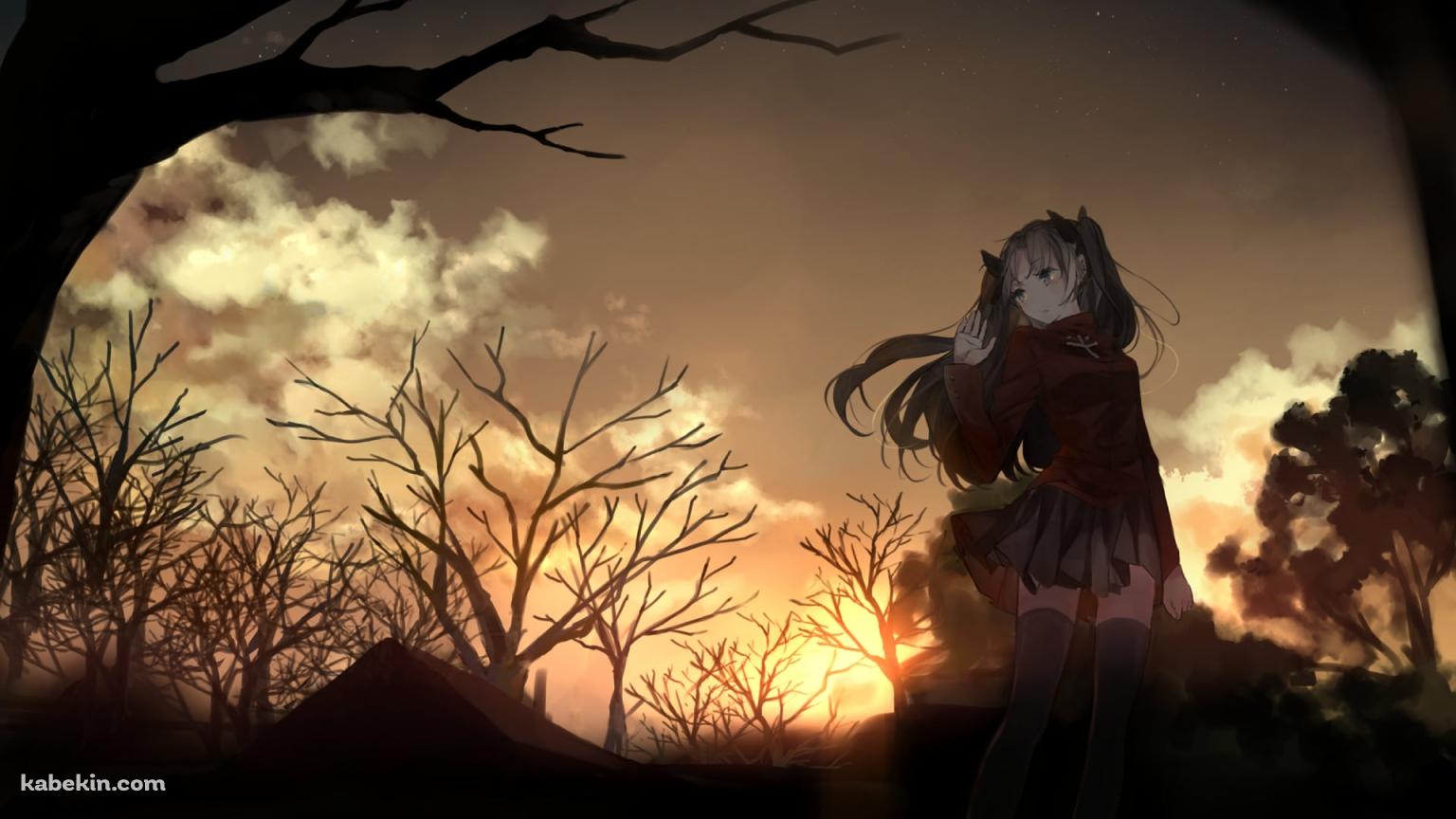 枯れ木と遠坂凛 / Fateの壁紙(1536px x 864px) 高画質 PC・デスクトップ用