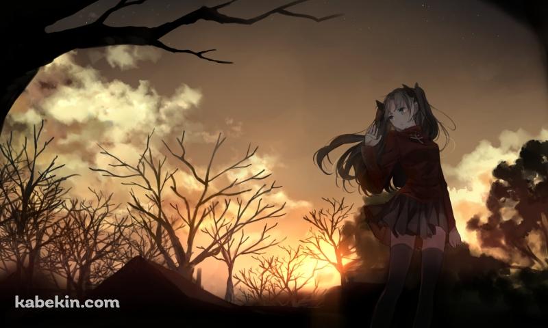 枯れ木と遠坂凛 / Fateの壁紙(800px x 480px) 高画質 PC・デスクトップ用