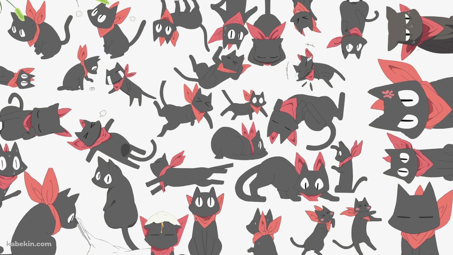 いろんな阪本さん / 赤いマフラーを巻いた黒猫 / 日常の壁紙(1536px x 864px) 高画質 PC・デスクトップ用