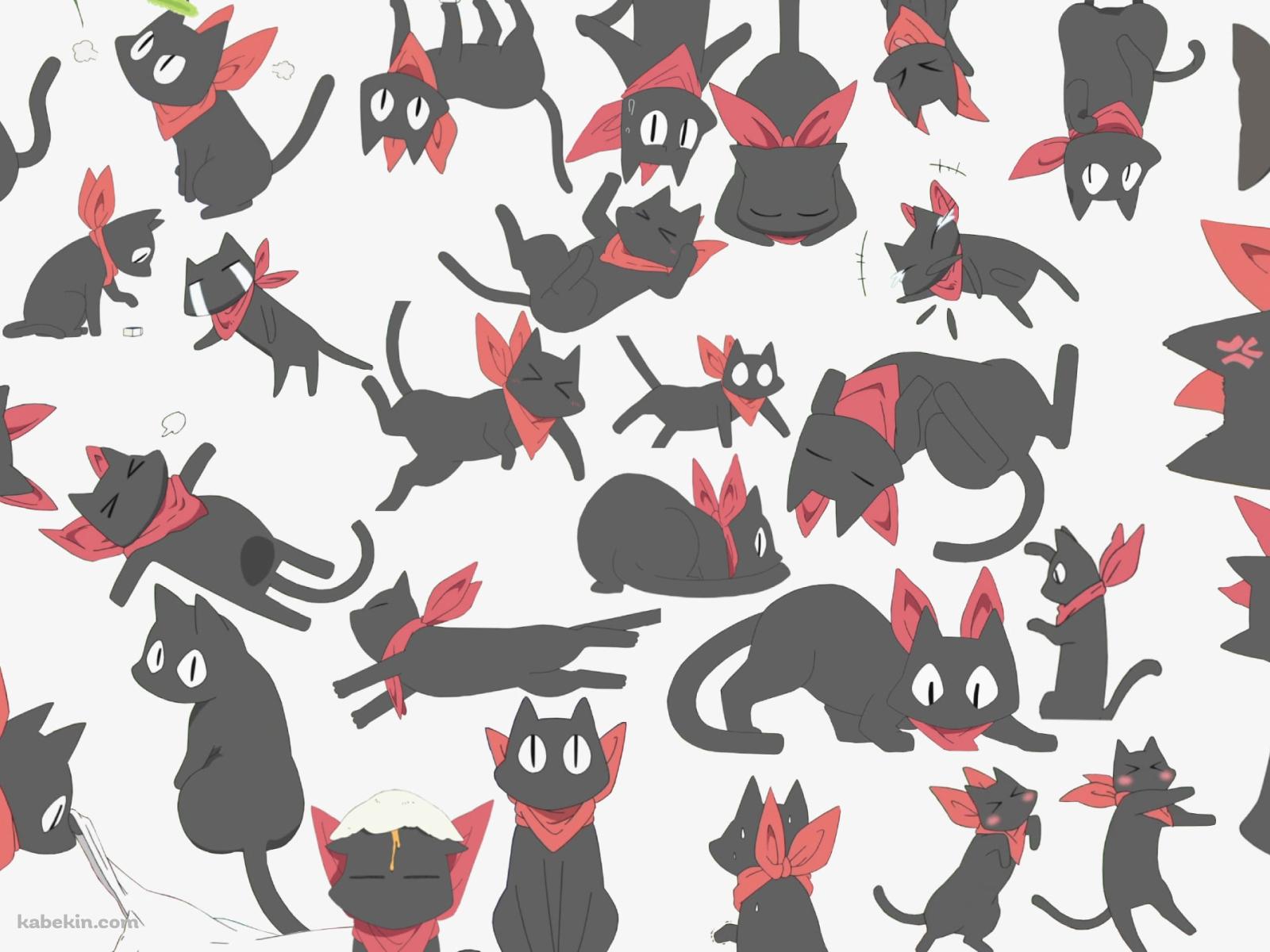 いろんな阪本さん / 赤いマフラーを巻いた黒猫 / 日常の壁紙(1600px x 1200px) 高画質 PC・デスクトップ用