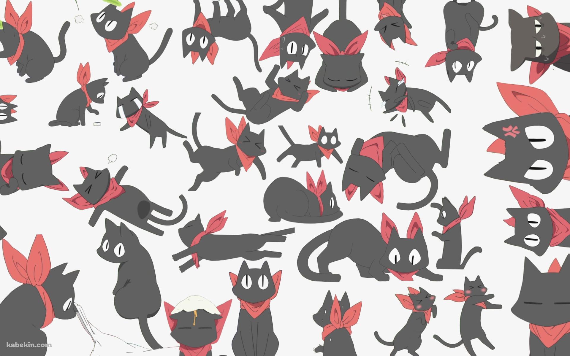 いろんな阪本さん / 赤いマフラーを巻いた黒猫 / 日常の壁紙(1920px x 1200px) 高画質 PC・デスクトップ用