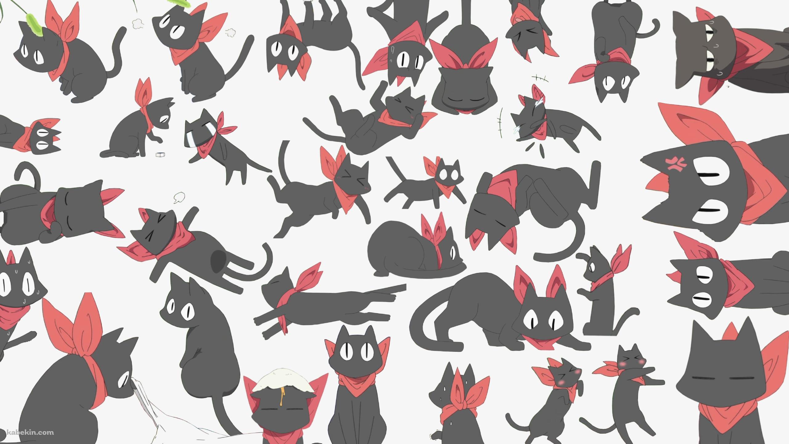 いろんな阪本さん / 赤いマフラーを巻いた黒猫 / 日常の壁紙(2560px x 1440px) 高画質 PC・デスクトップ用